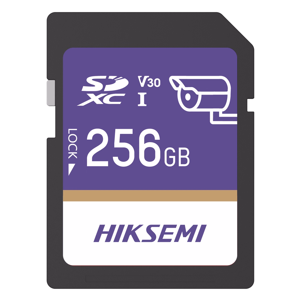 Tarjeta SD GuardPro P10 / 256 GB / 100 MB/s Lectura / 90 MB/s Escritura / Clase 10 U3 V30 / 3D TLC NAND / Especializada Para Videovigilancia 24/7